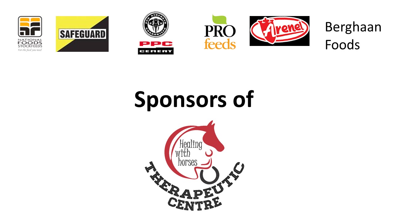 Sponsors logo 1