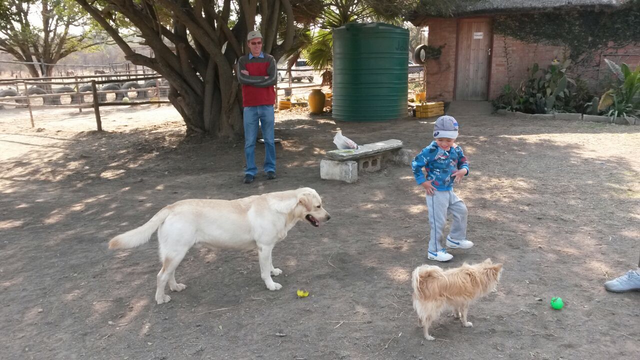 IMG-20150715-WA0006