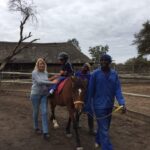 Healing with Horses