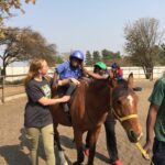 Healing with Horses