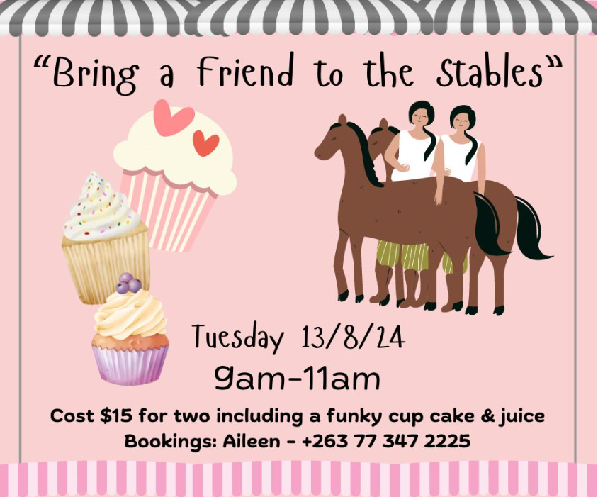 Healing with Horses - Bring a friend day