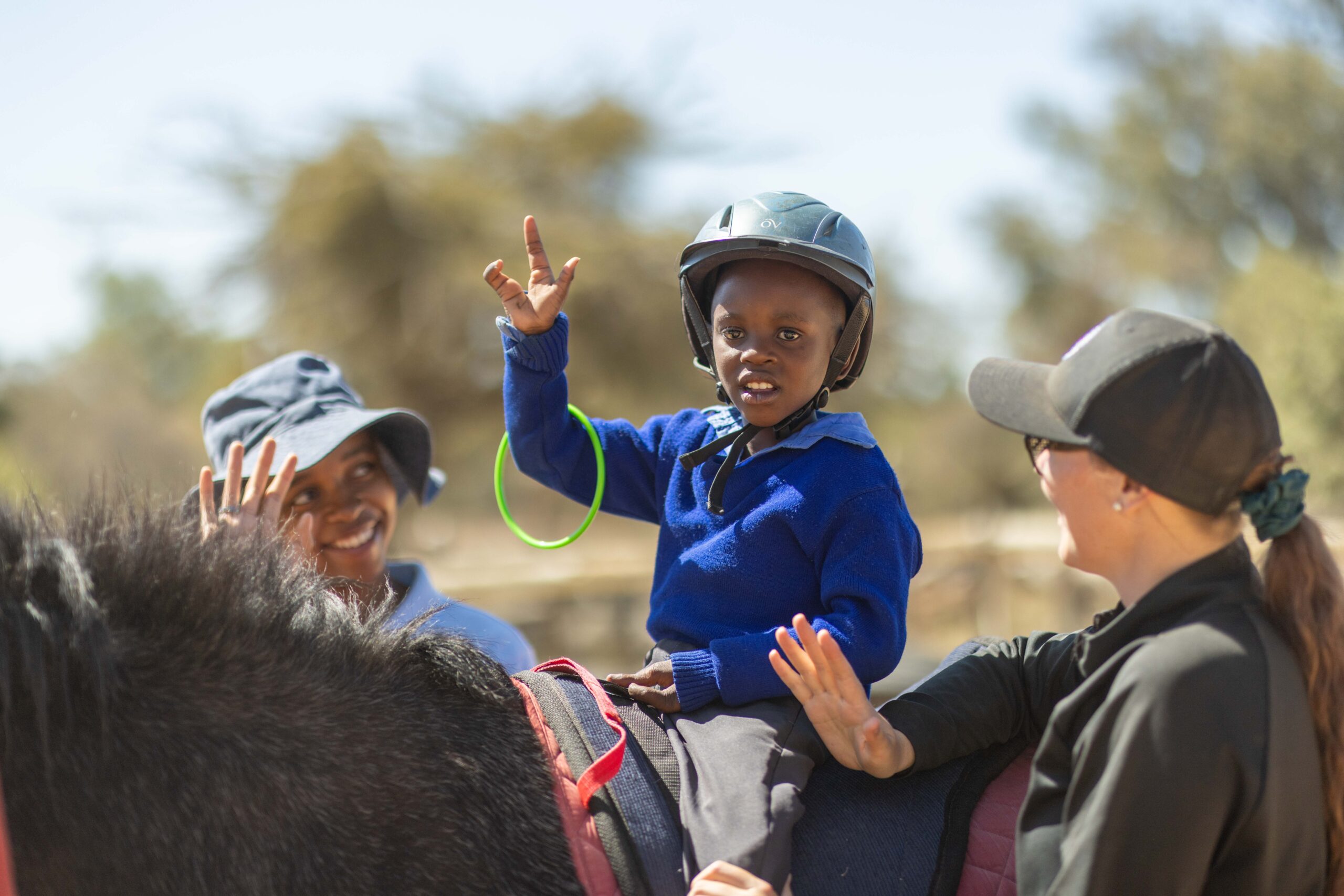 Healing with horses