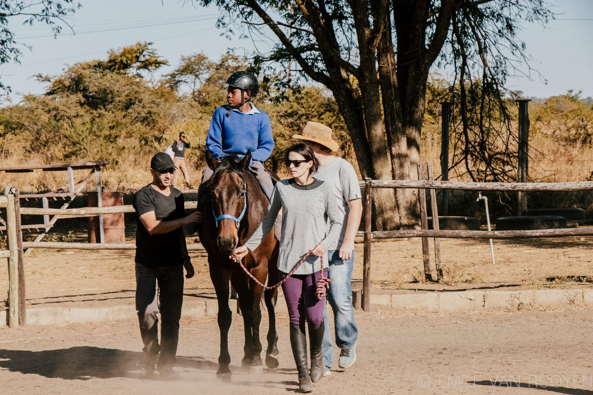 Healing with Horses
