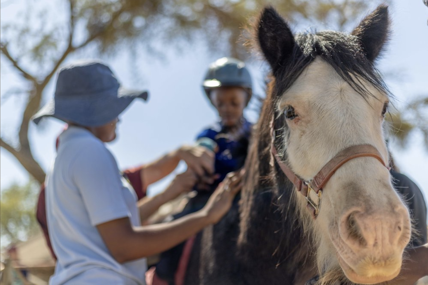 Volunteer. Healing with horses