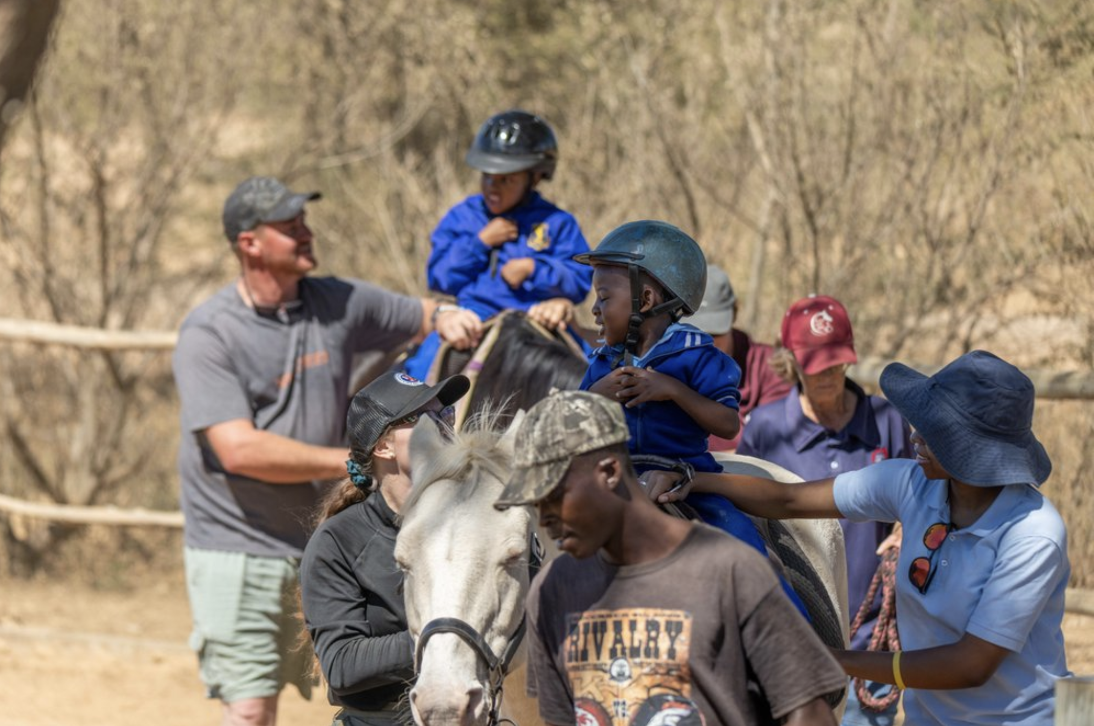 Volunteer. Healing with horses