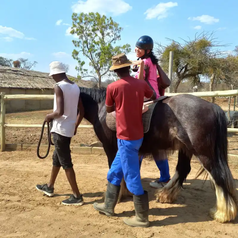 Donate 02 Horse riding sessions. Healing with Horses Zimbabwe